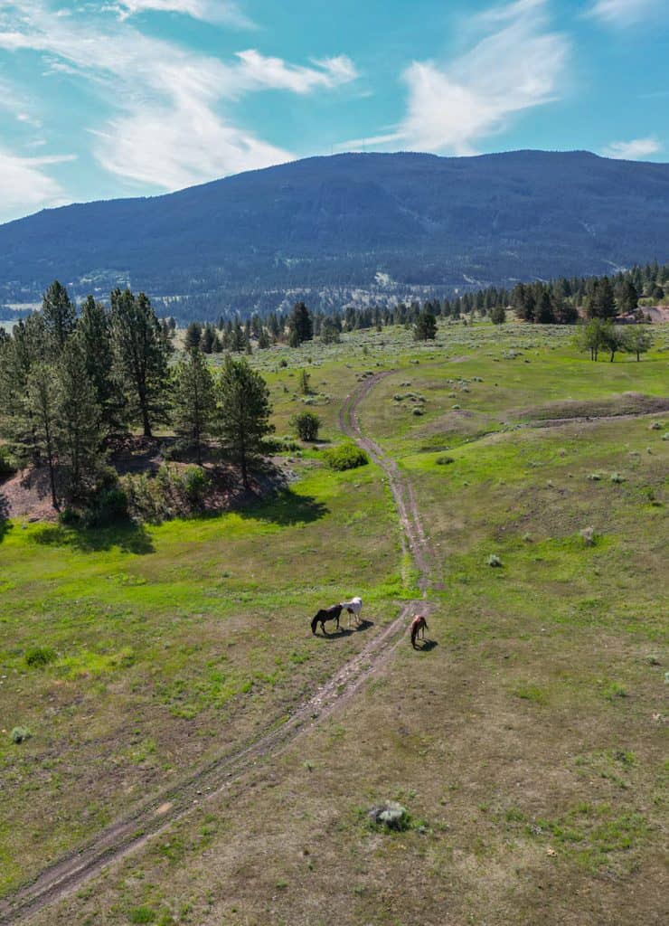 Soleado Ridge Property for Sale in Merritt BC